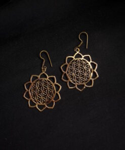 Brass Earrings BJE45