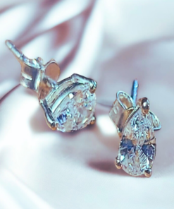 Sterling Silver Earring ER407